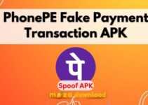 fake phonepe transaction
